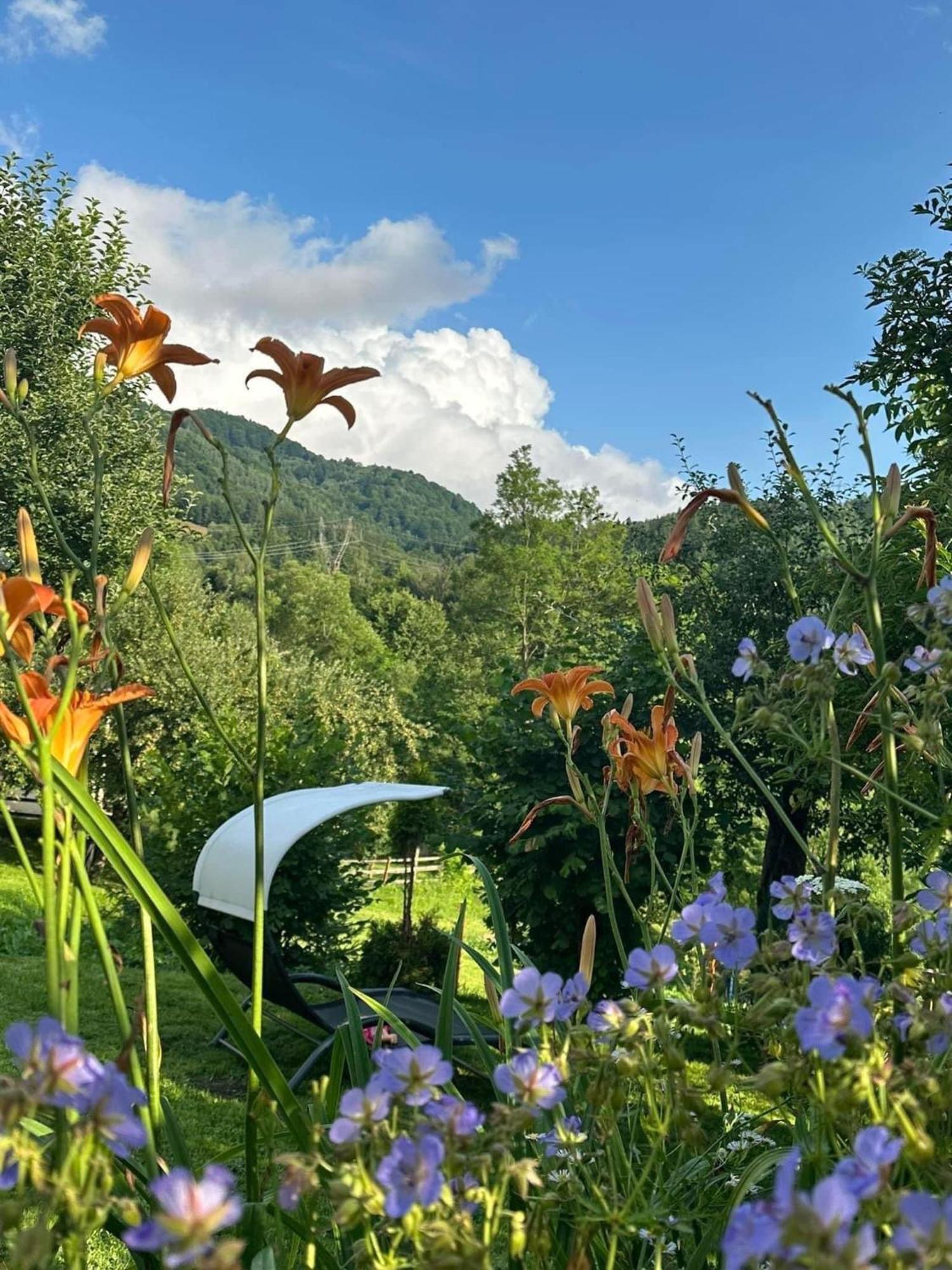 Вилла Green Yard Doftana Tesila Экстерьер фото